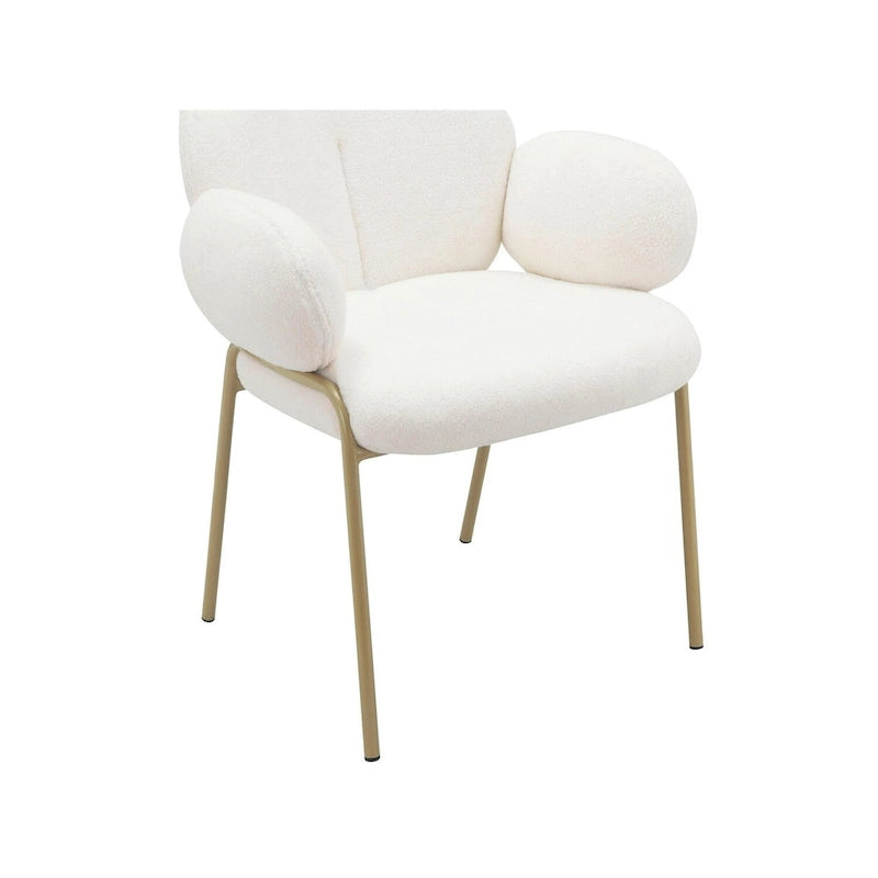 Chaise de salle à manger, lot de 2